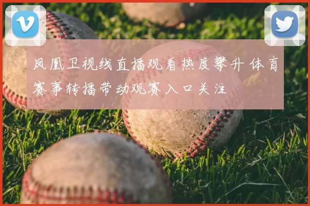 凤凰卫视线直播观看热度攀升 体育赛事转播带动观赛入口关注