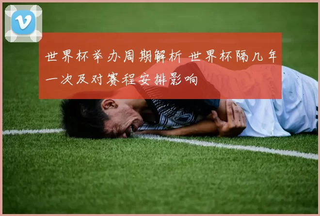 世界杯举办周期解析 世界杯隔几年一次及对赛程安排影响
