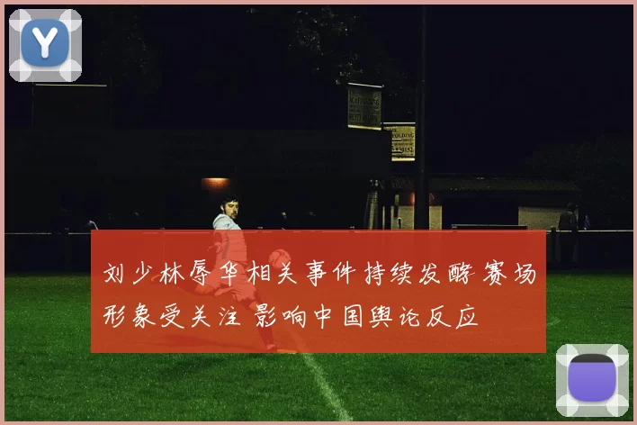 刘少林辱华相关事件持续发酵 赛场形象受关注 影响中国舆论反应