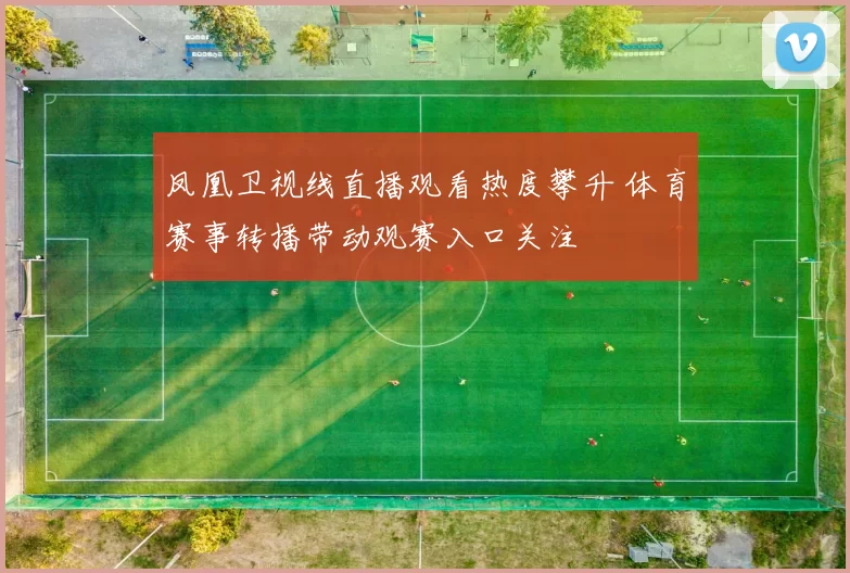 凤凰卫视线直播观看热度攀升 体育赛事转播带动观赛入口关注