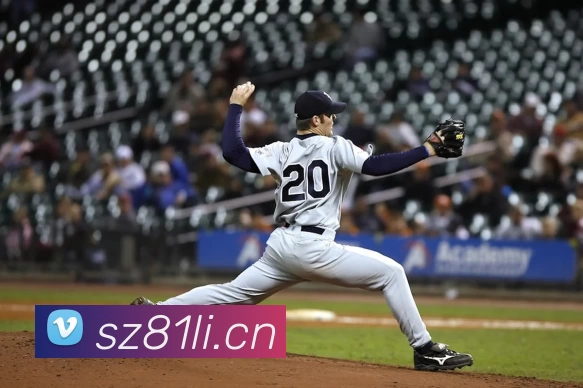 333体育(中国)官方网站 - 333 SPORTS平台生态图